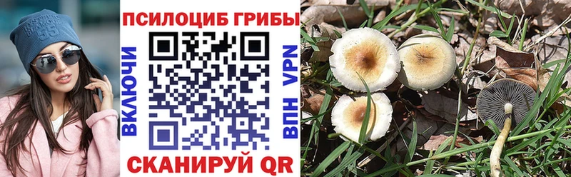 Купить  Макарьев  Галлюциногенные грибы ЛСД 